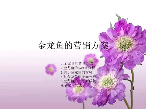 金龙鱼案例分析 - 副本