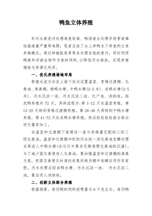 鸭鱼立体养殖