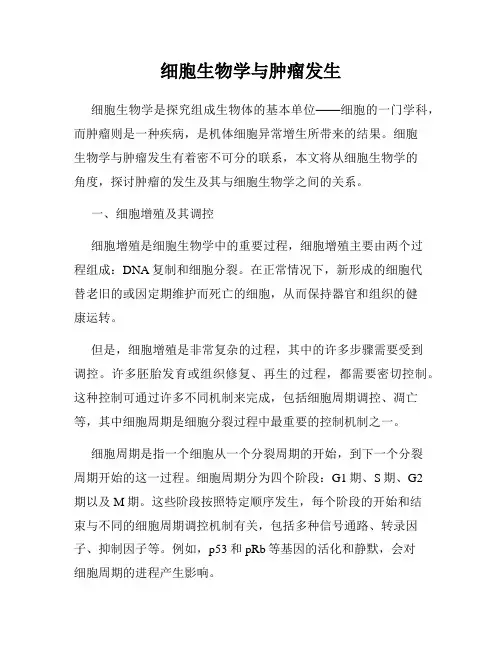 细胞生物学与肿瘤发生