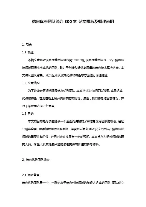 信息优秀团队简介300字_范文模板及概述说明