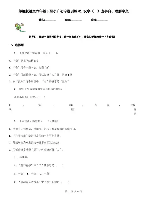 部编版语文六年级下册小升初专题训练01 汉字(一)查字典、理解字义