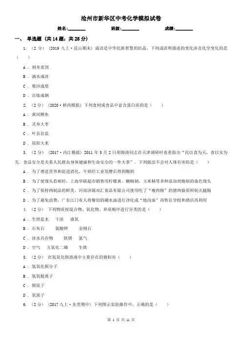 沧州市新华区中考化学模拟试卷