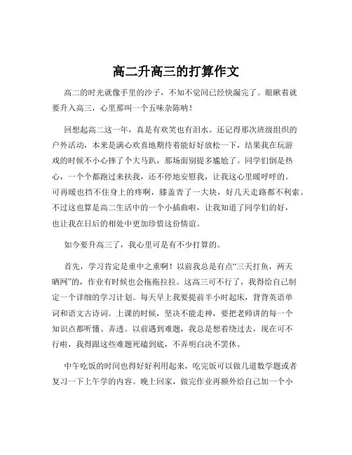 高二升高三的打算作文