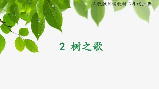 树之歌ppt课件