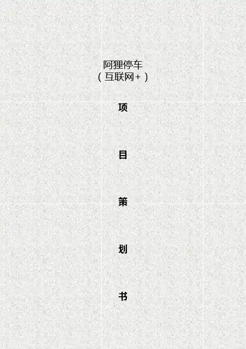 互联网智能停车管理项目策划书