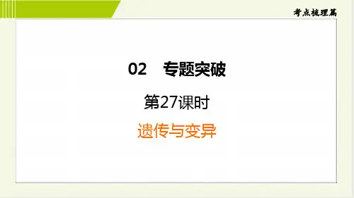 2024年中考生物总复习专题突破第27课时遗传与变异