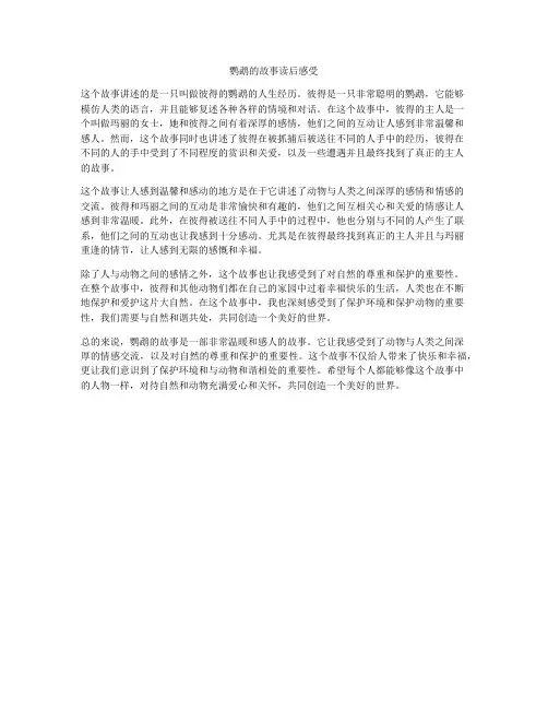 鹦鹉的故事读后感受