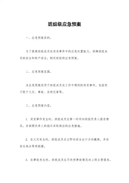 班组级应急预案