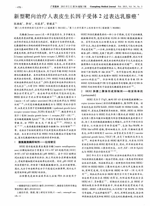 新型靶向治疗人表皮生长因子受体2过表达乳腺癌