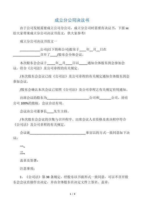 成立分公司决议书