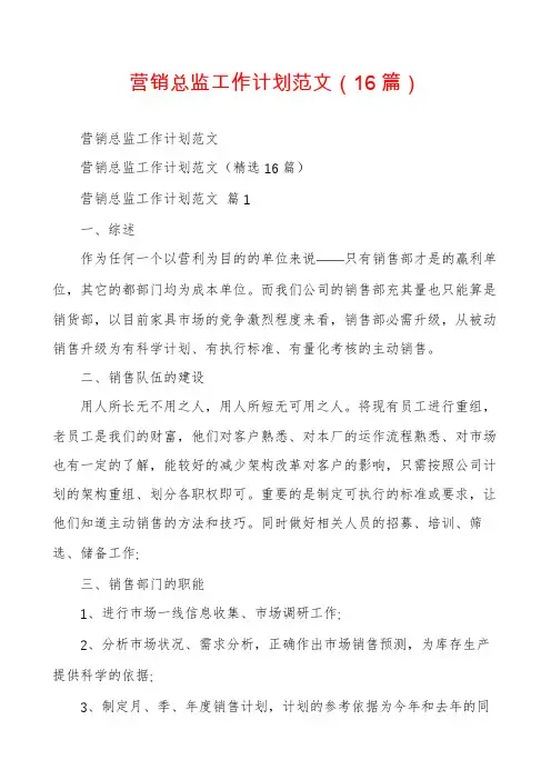 营销总监工作计划范文(16篇)