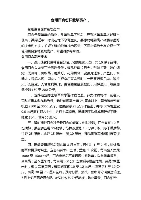 食用百合怎样栽培高产，