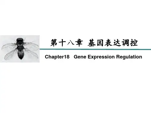生物化学与分子生物学：第13章基因表达调控