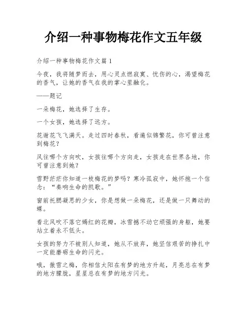 介绍一种事物梅花作文五年级
