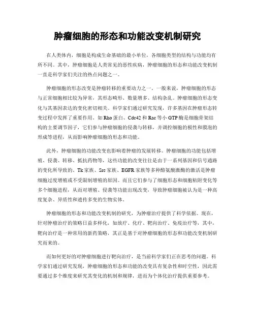 肿瘤细胞的形态和功能改变机制研究