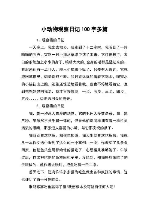 小动物观察日记100字多篇