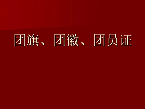 团旗团徽团歌