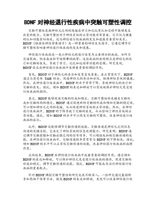 BDNF对神经退行性疾病中突触可塑性调控