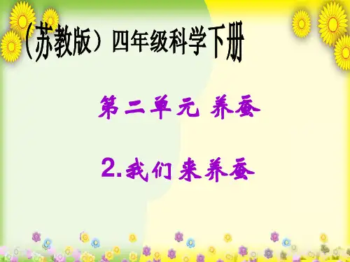 小学科学四下《我们来养蚕》PPT 公开课一等奖课件(5)