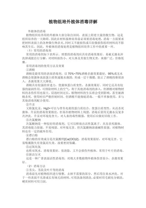 植物组培外植体消毒详解