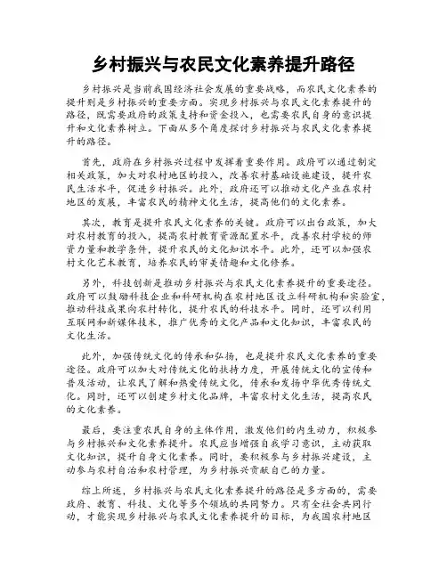 乡村振兴与农民文化素养提升路径