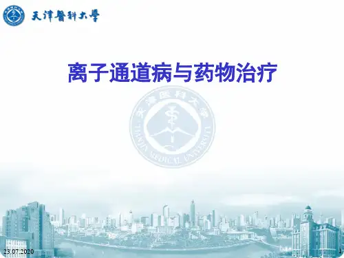 离子通道病与药物治疗 ppt课件