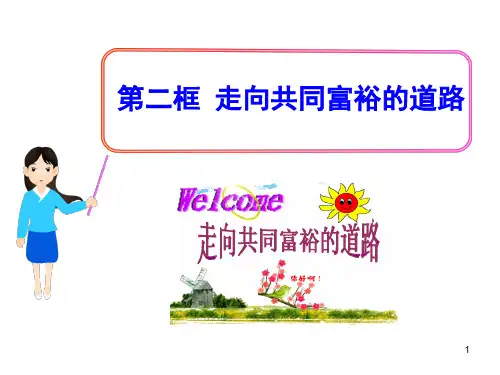 第七课  第二框  走向共同富裕的道路(人教实验版·九年级全一册)