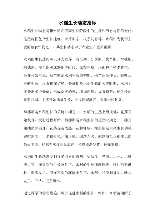水稻生长动态指标