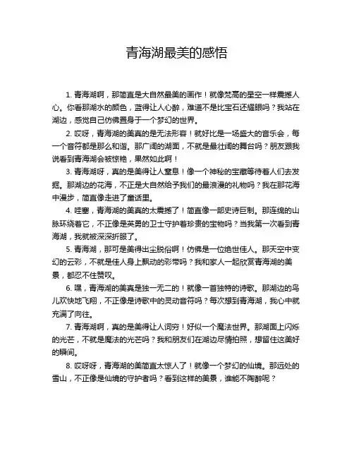青海湖最美的感悟