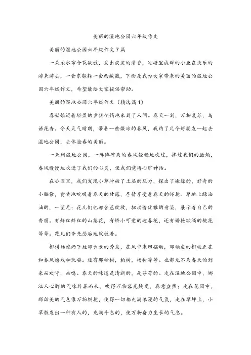 美丽的湿地公园六年级作文