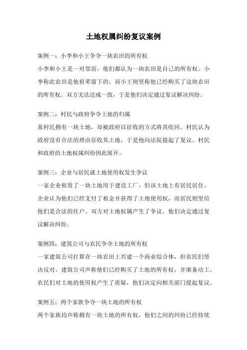 土地权属纠纷复议案例