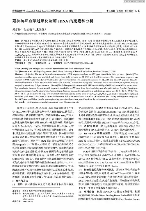荔枝抗坏血酸过氧化物酶cDNA的克隆和分析