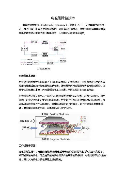 电吸附除盐技术