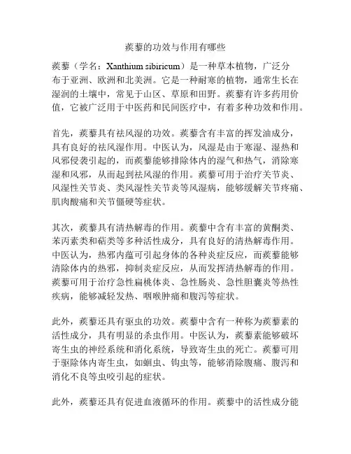 蒺藜的功效与作用有哪些