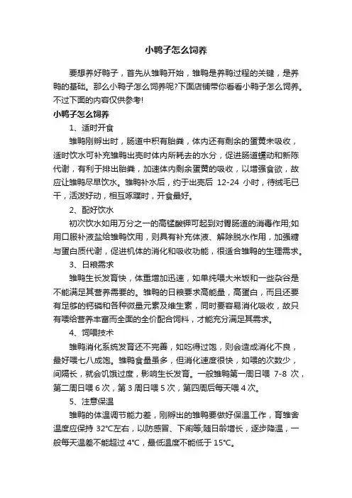 小鸭子怎么饲养