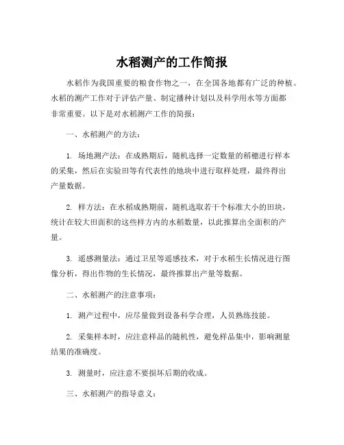 水稻测产的工作简报