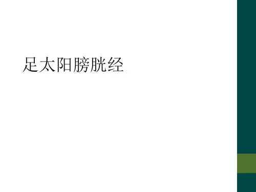 足太阳膀胱经