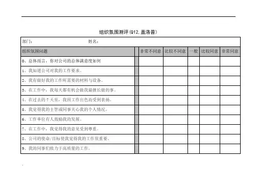组织氛围测评(Q12,盖洛普)