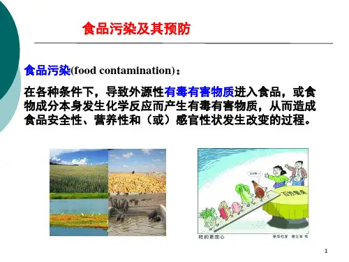 食品污染及其预防课件