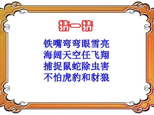苏教版二年级语文下册小鹰学飞2