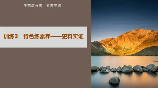 高考历史素养专练 训练3 特色练素养——史料实证