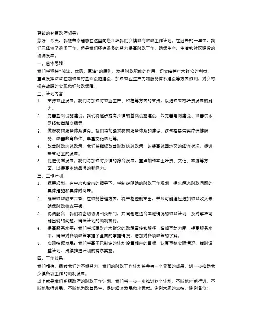乡镇政府财政工作计划范文