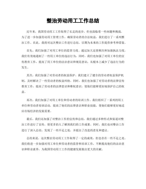 整治劳动用工工作总结