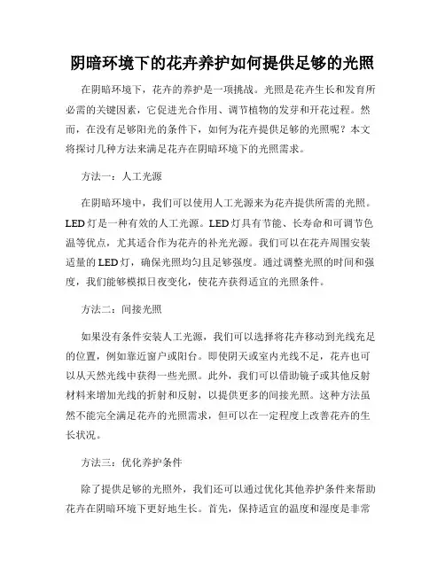 阴暗环境下的花卉养护如何提供足够的光照