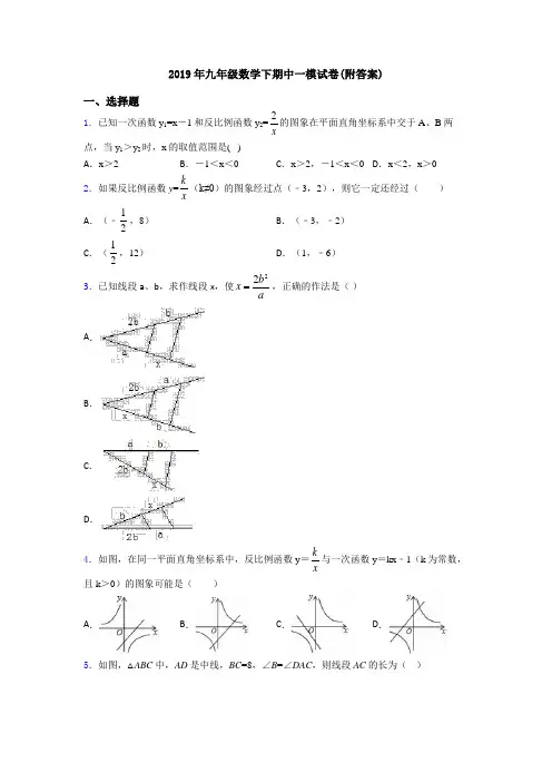2019年九年级数学下期中一模试卷(附答案)