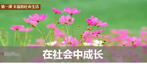 在社会中成长ppt课件