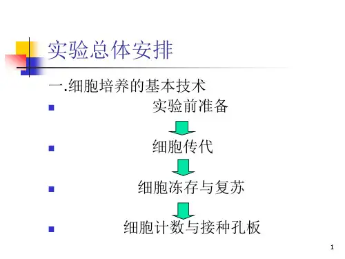 细胞传代PPT演示课件