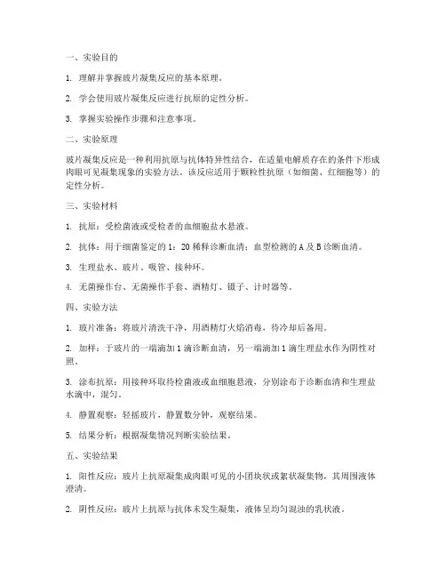 玻片凝集反应实验报告