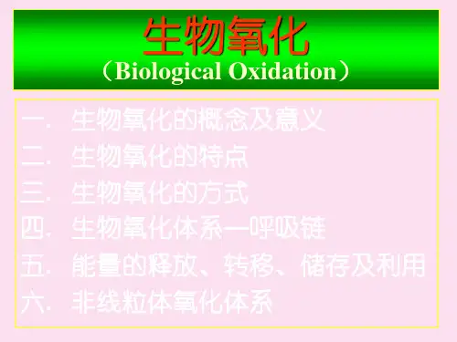 复旦大学生化课件生物氧化
