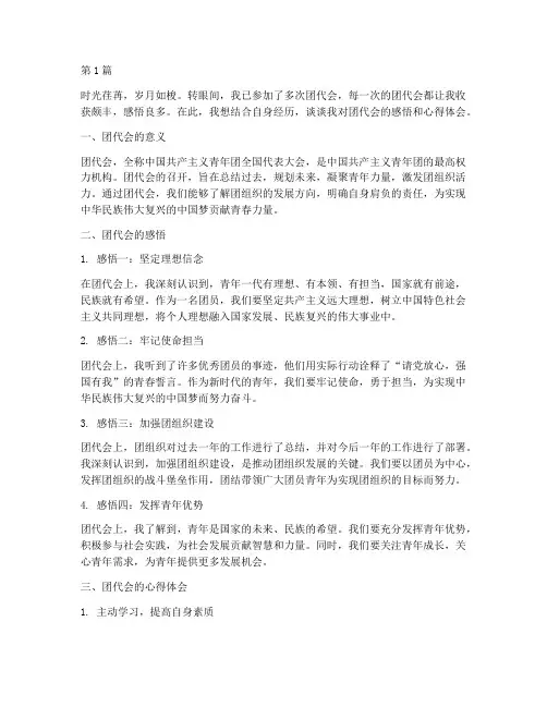团代会文字感悟心得体会(3篇)